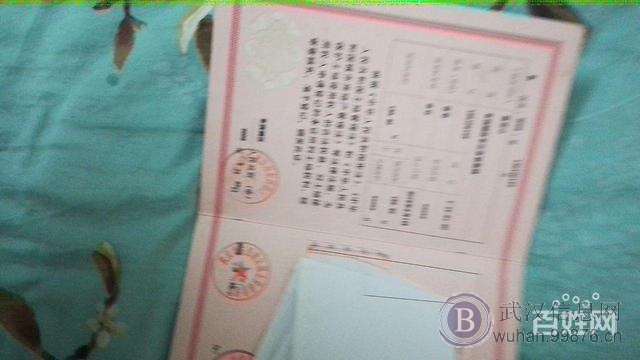 在东山可以重建有土地证
