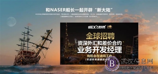 全球招聘,迪拜最给力公司MEX大通金融虚位以待