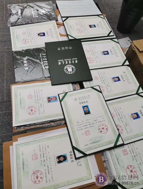 成人学历高升专,专升本学信网**可查